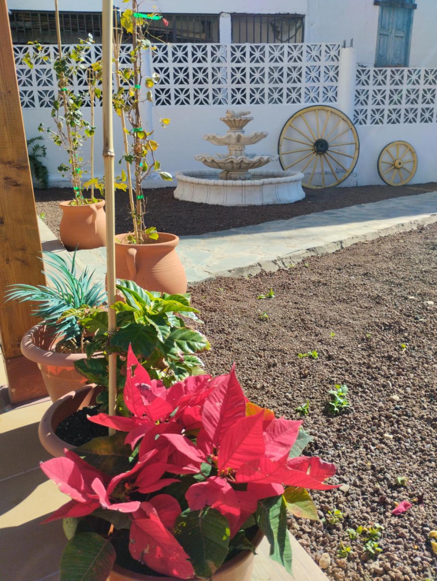 Casita Fataga Apartment ภายนอก รูปภาพ